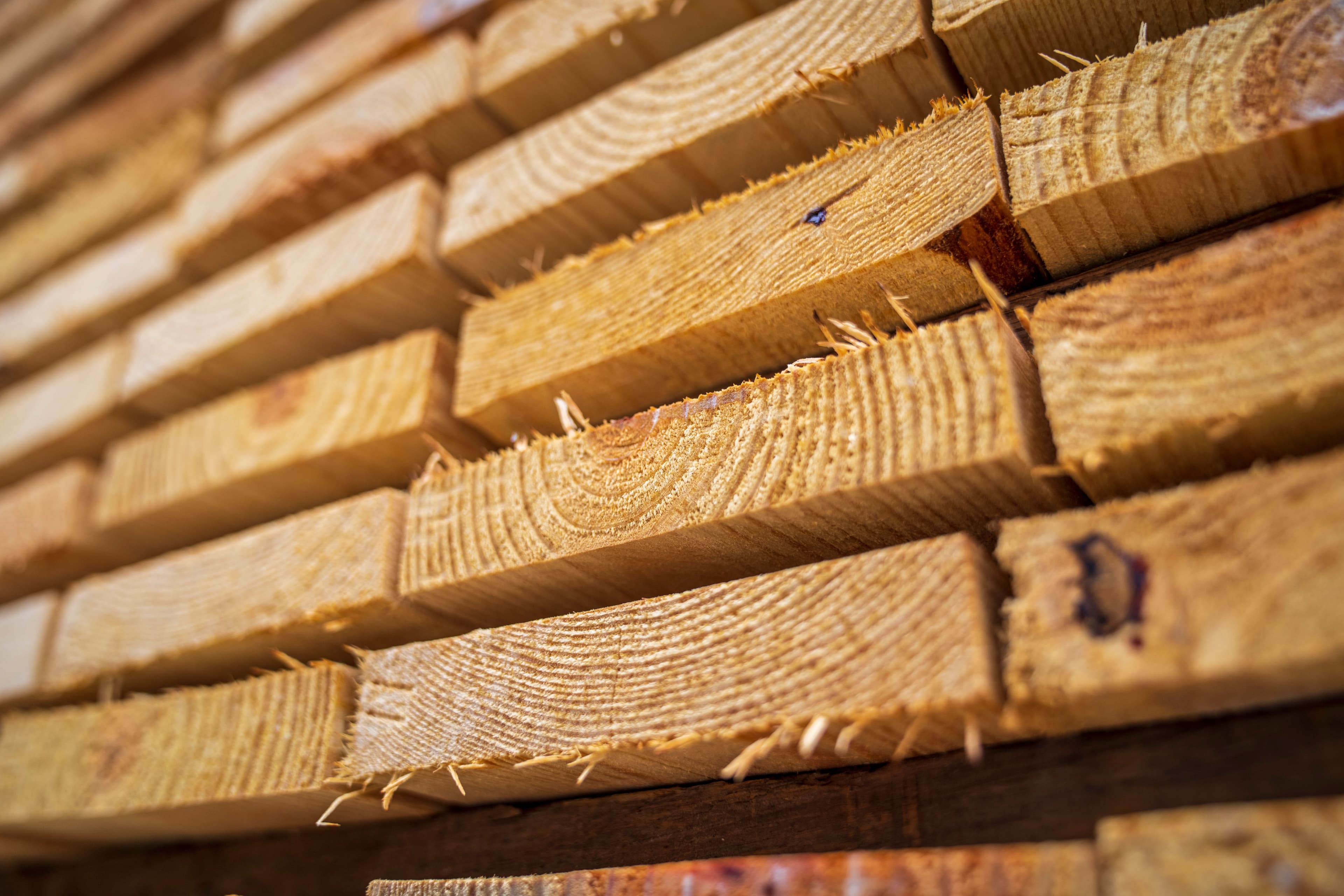 Finishes timber category
