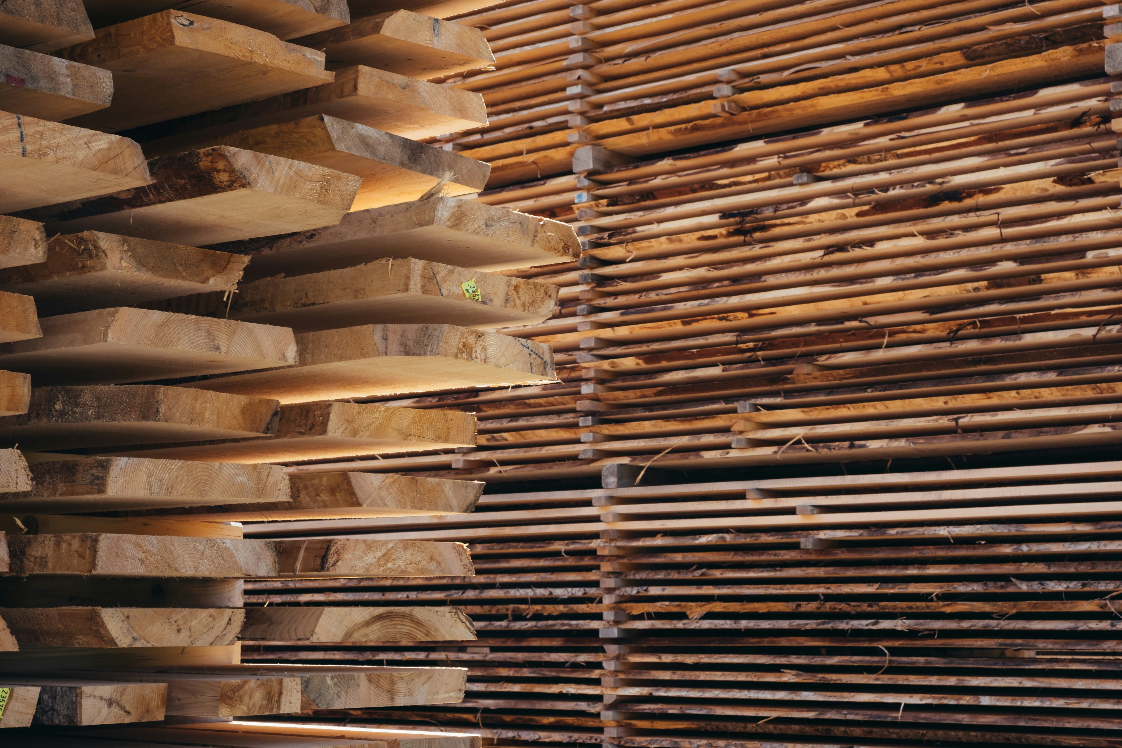Timber drying racks at a yard